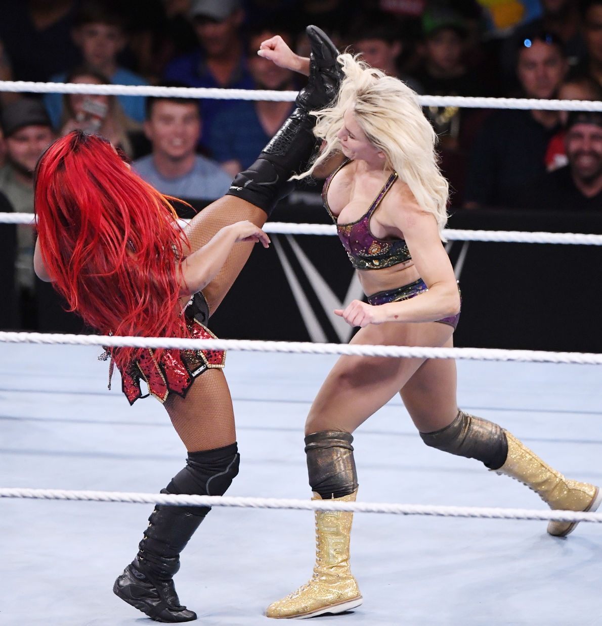 WWE at Reed Arena
